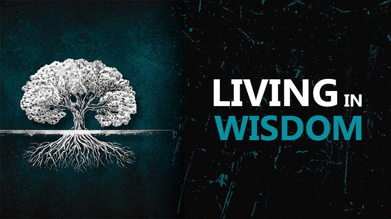 "Living in Wisdom" Sermon Title Thumbnail - Gospel Light Christian Church - Image featuring a large fruit-bearing tree with visible roots.