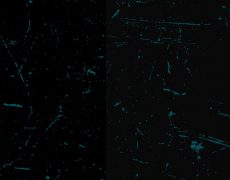 YT Sermon Background